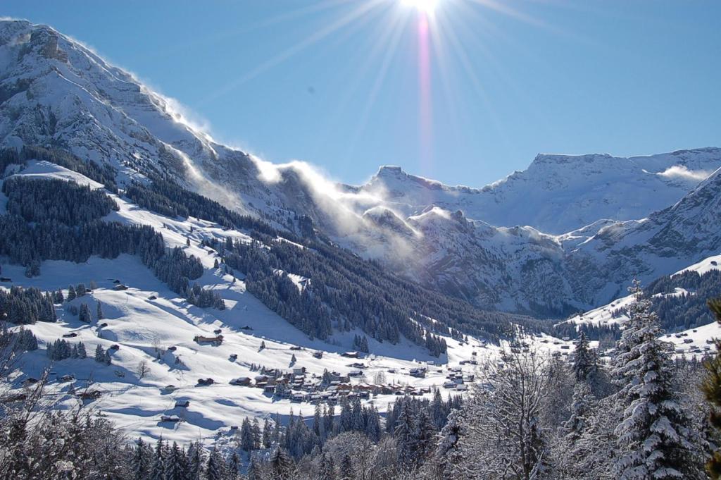 Hotel Crystal Adelboden Cameră foto